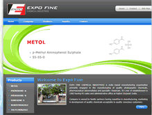 Tablet Screenshot of expofine.com